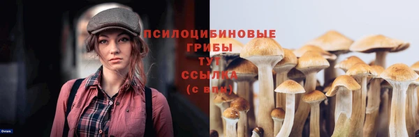 PSILOCYBIN Абаза